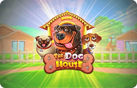 The Dog House